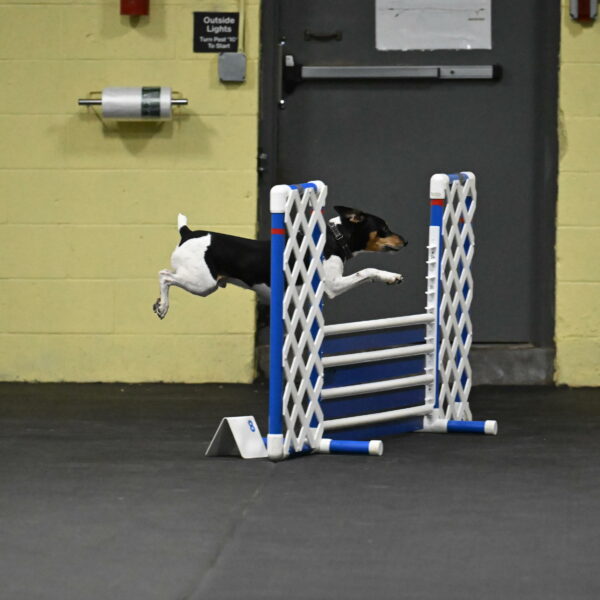 Denver-McGinty-01901