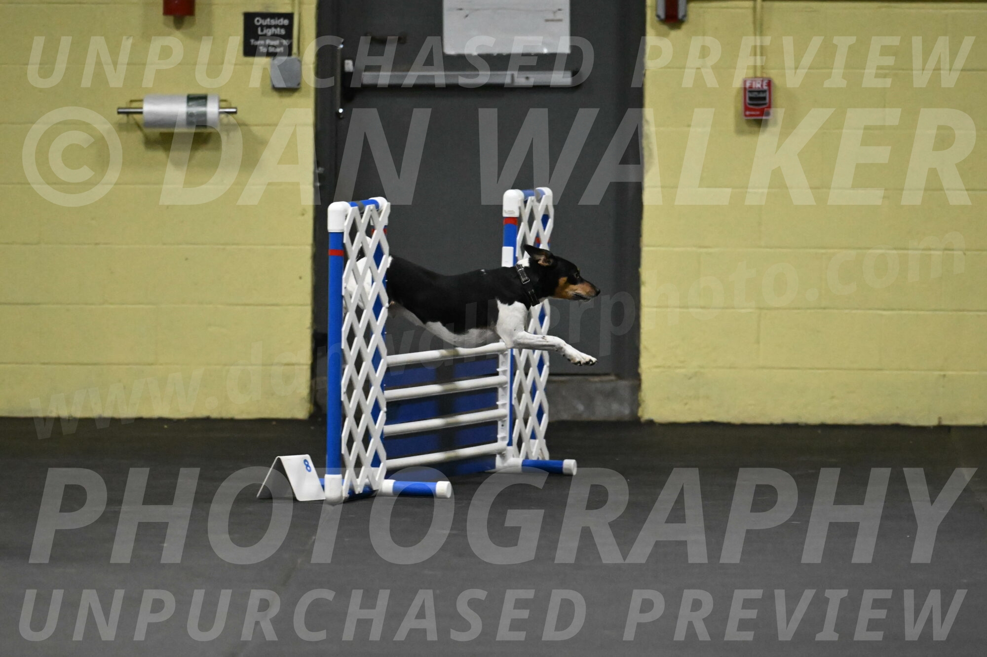 Denver-McGinty-01902