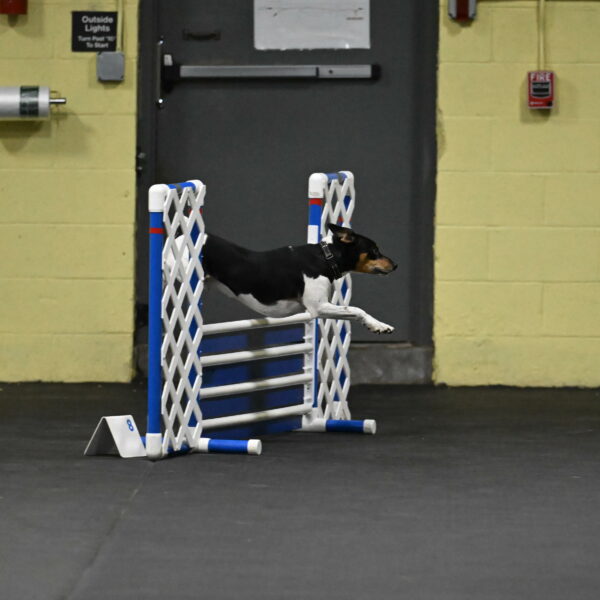 Denver-McGinty-01902