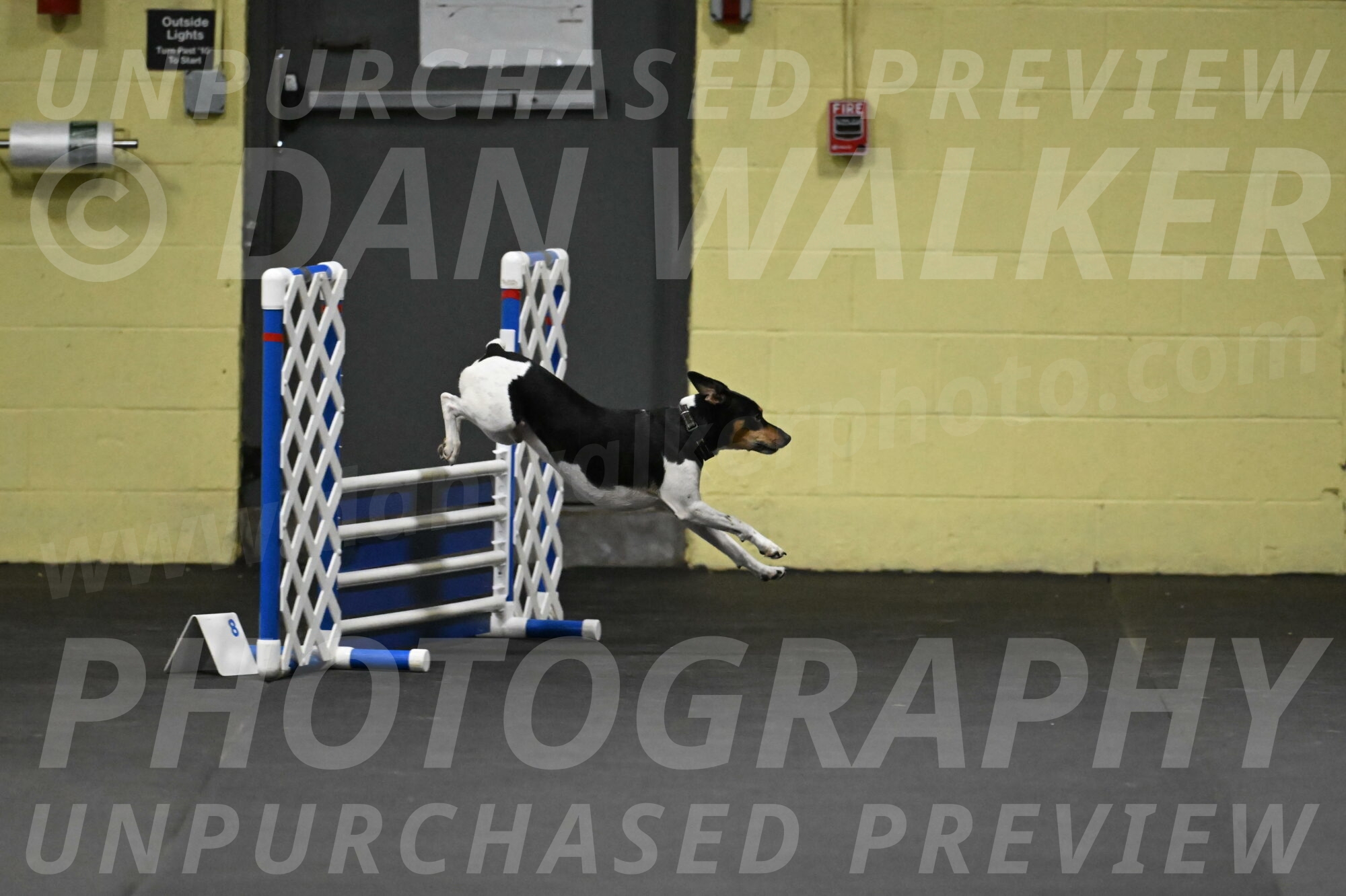 Denver-McGinty-01903