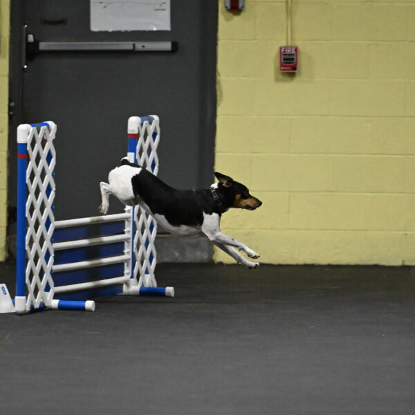 Denver-McGinty-01903