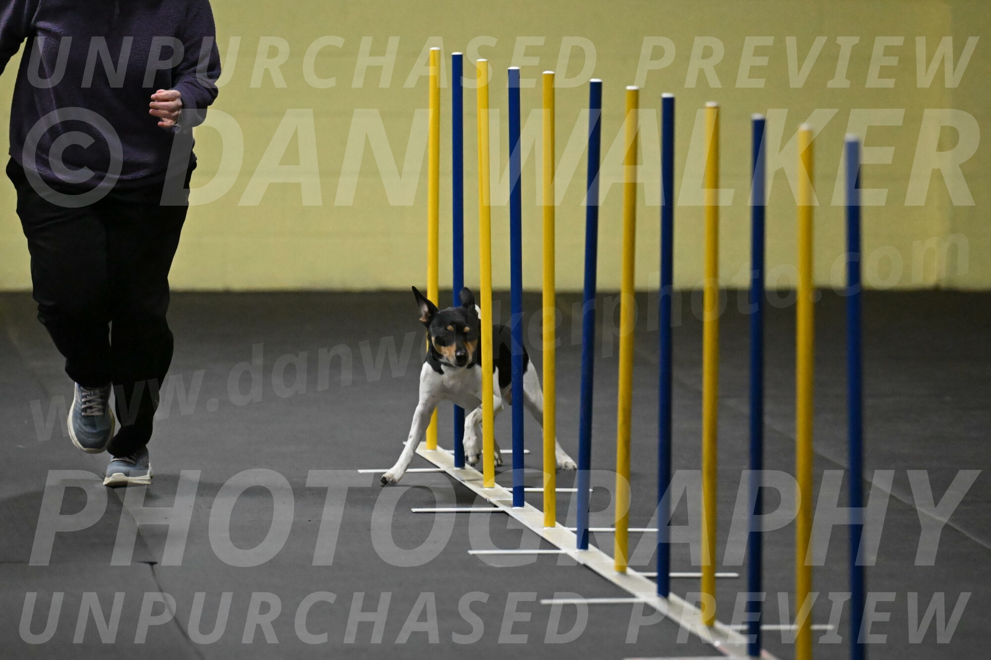 Denver-McGinty-01907