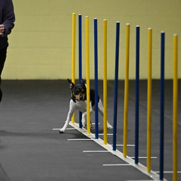 Denver-McGinty-01907