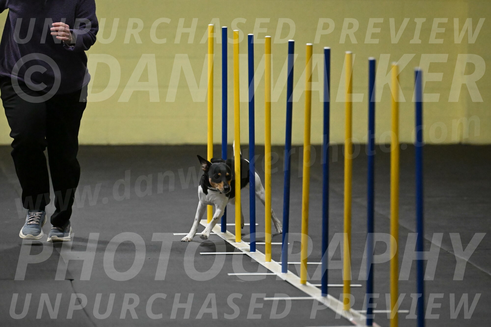 Denver-McGinty-01908