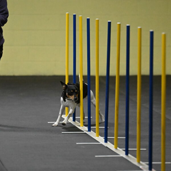 Denver-McGinty-01908