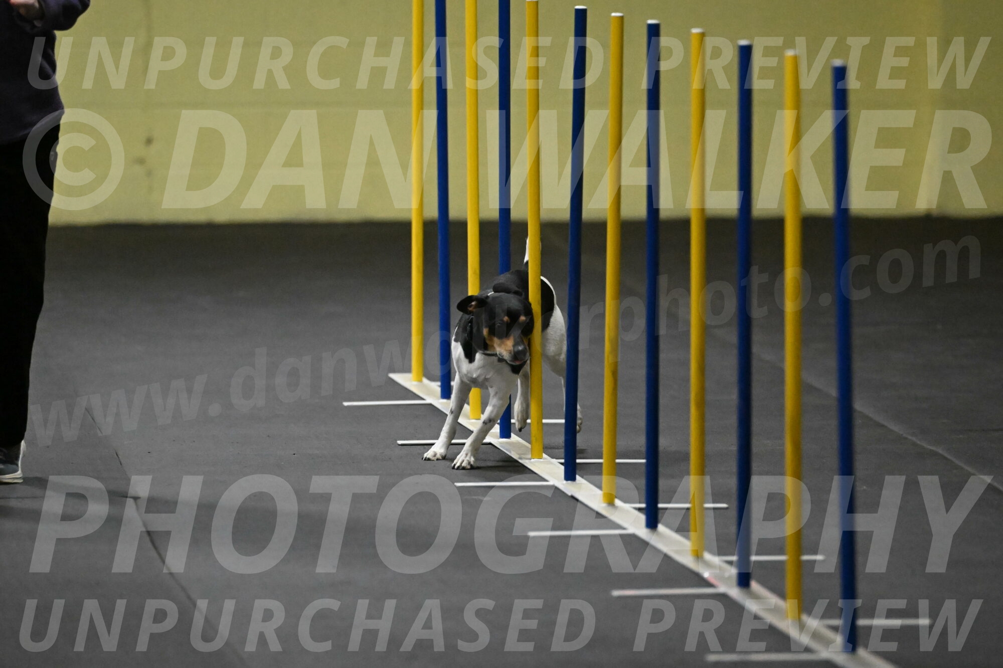 Denver-McGinty-01915