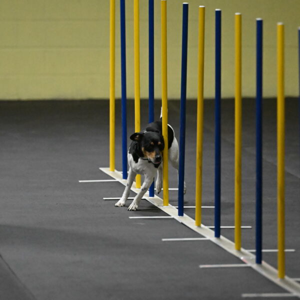 Denver-McGinty-01915