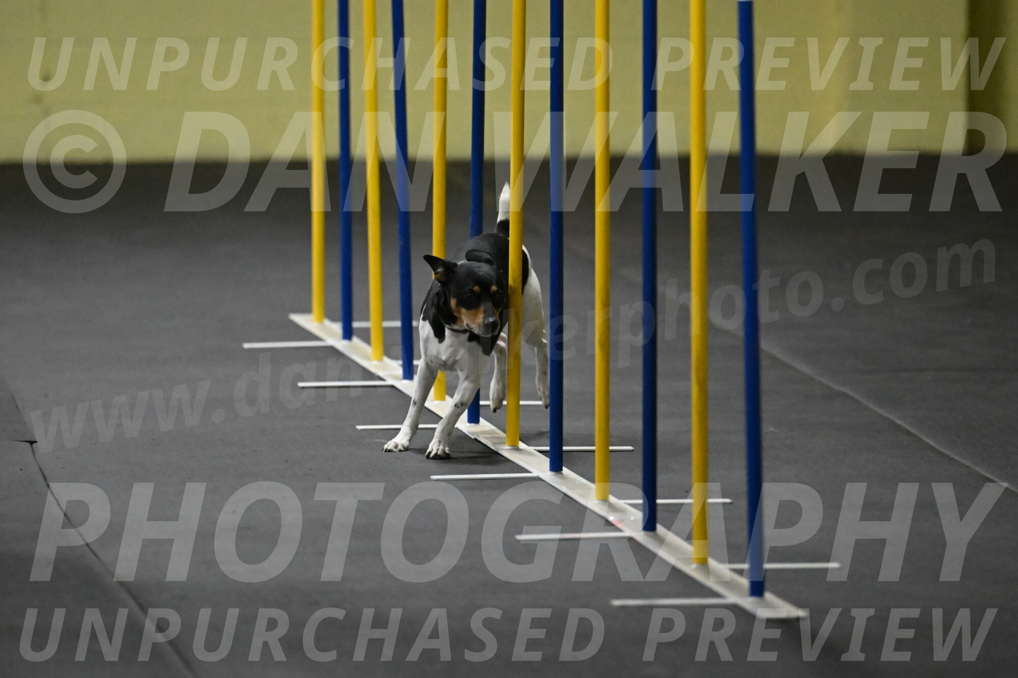 Denver-McGinty-01921