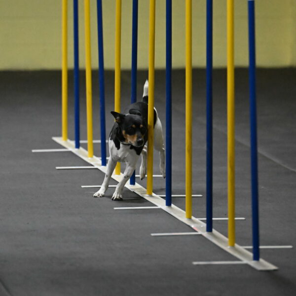 Denver-McGinty-01921