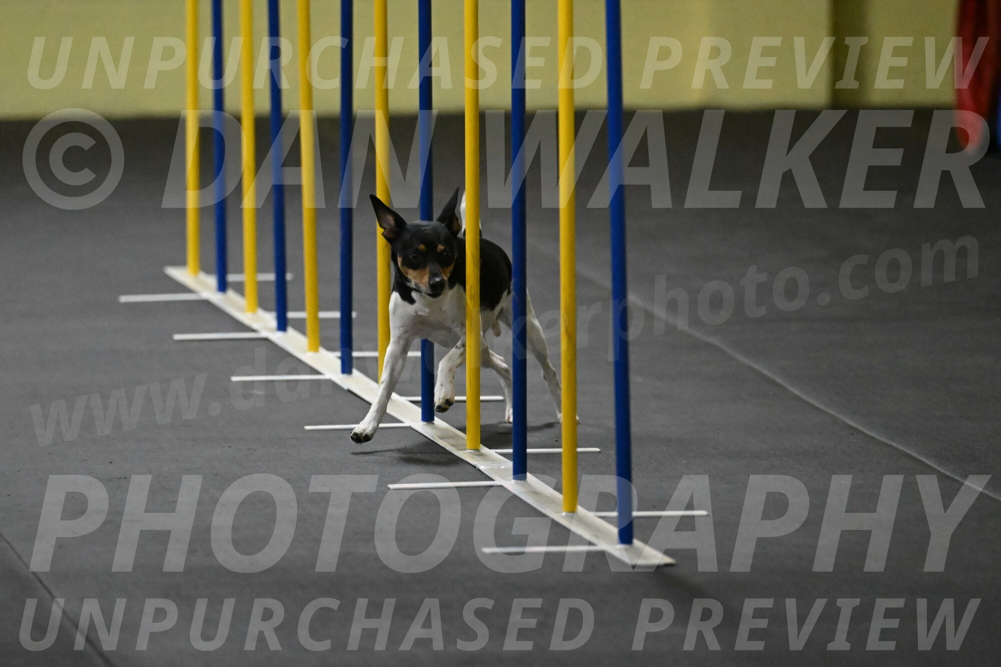 Denver-McGinty-01927