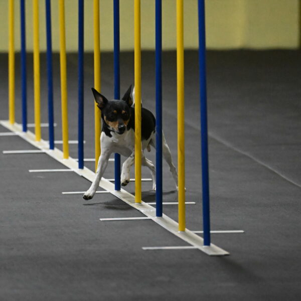 Denver-McGinty-01927