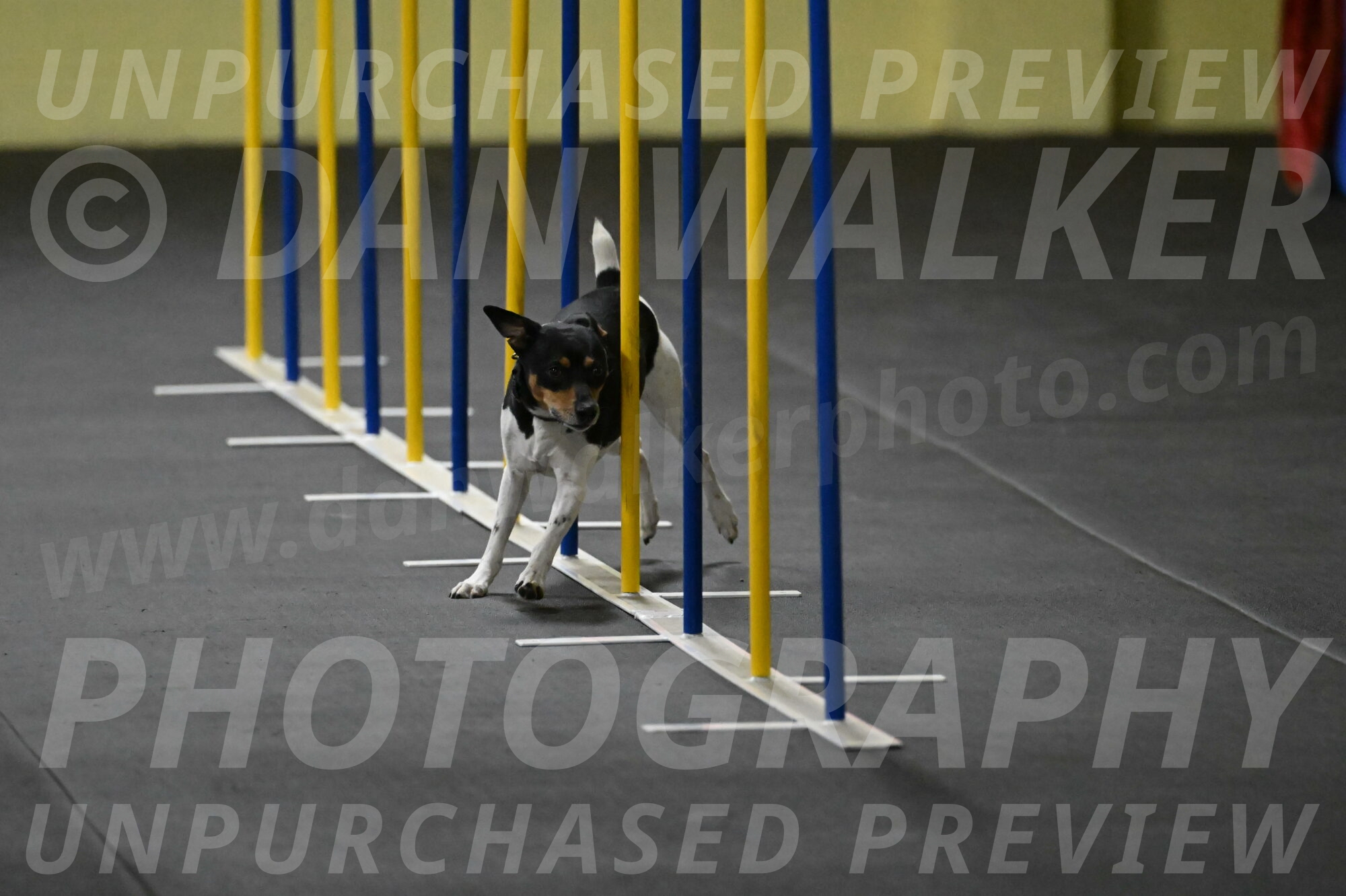 Denver-McGinty-01928