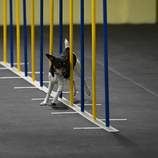 Denver-McGinty-01928