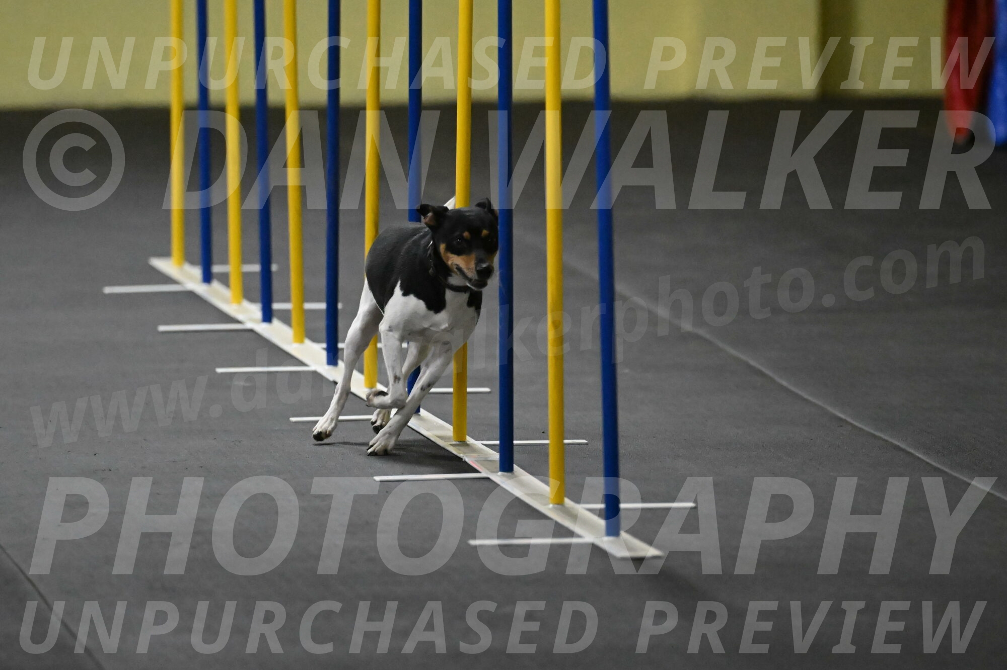 Denver-McGinty-01929