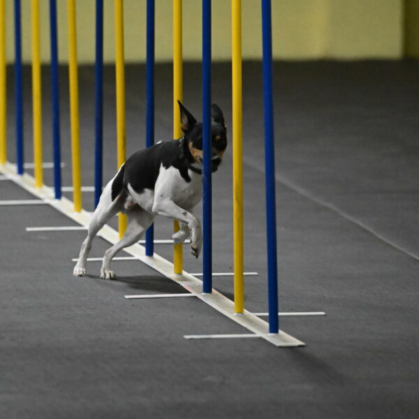 Denver-McGinty-01930