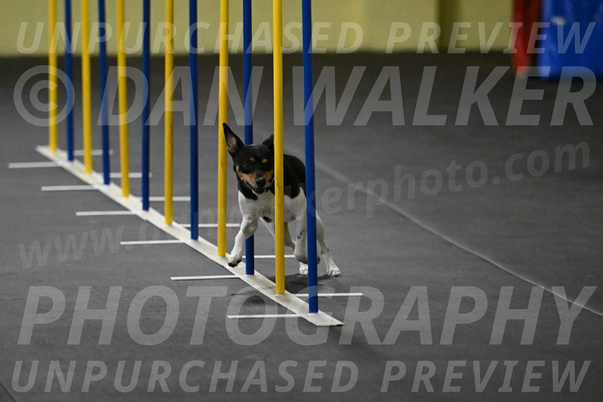 Denver-McGinty-01934