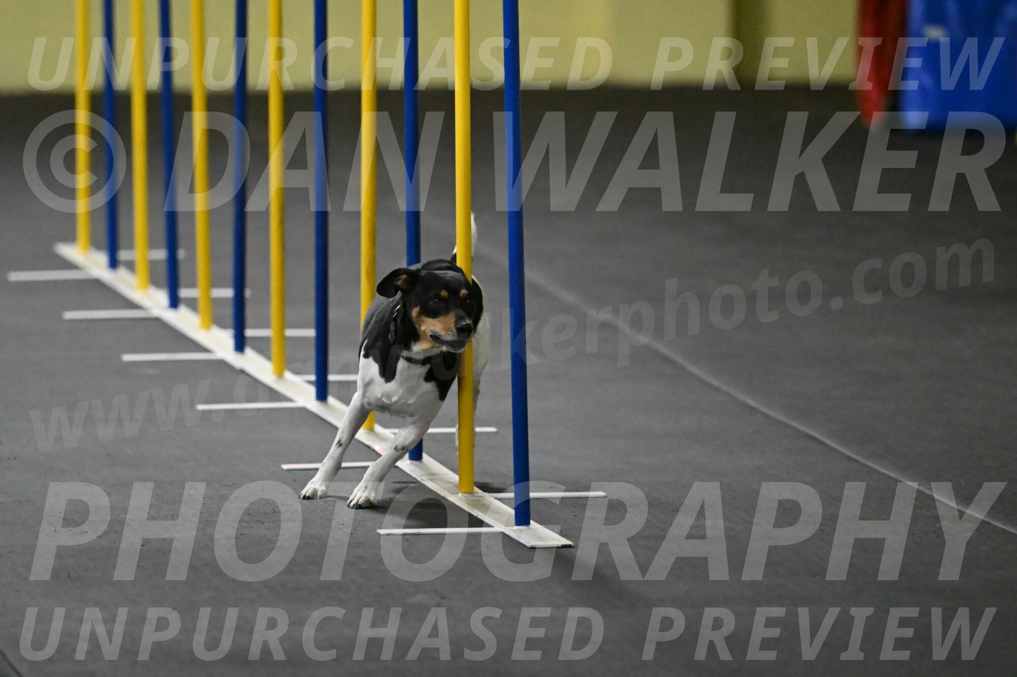 Denver-McGinty-01936