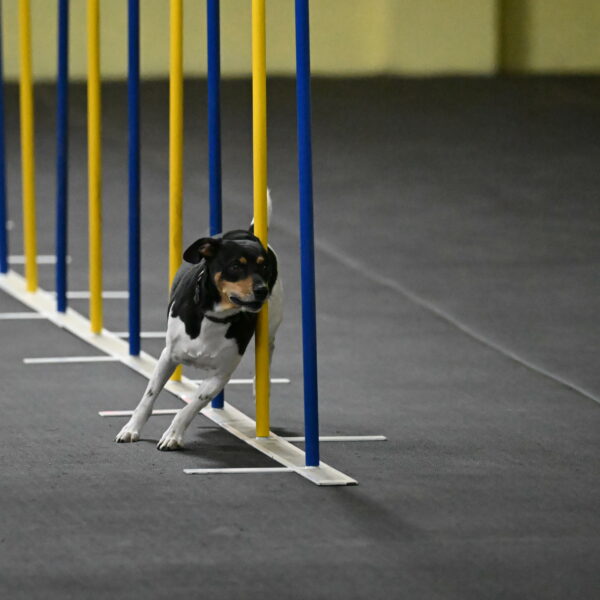 Denver-McGinty-01936