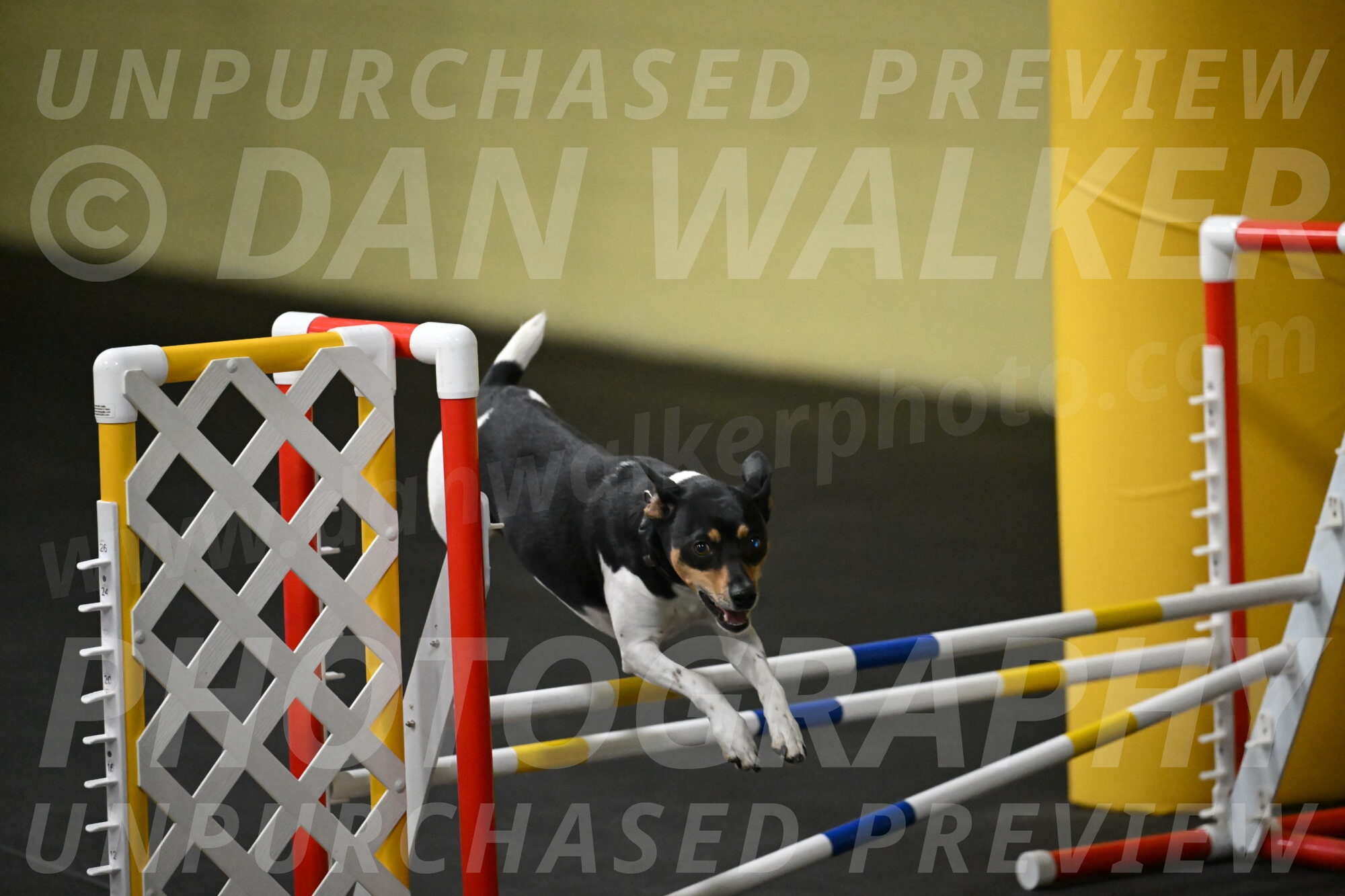 Denver-McGinty-01938