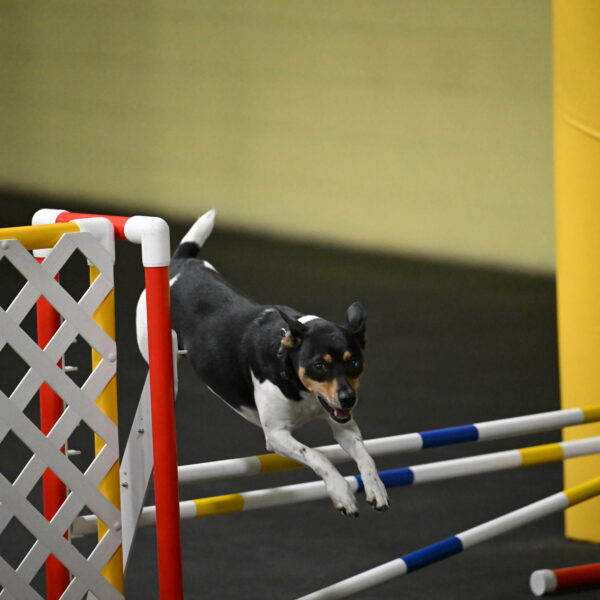 Denver-McGinty-01938