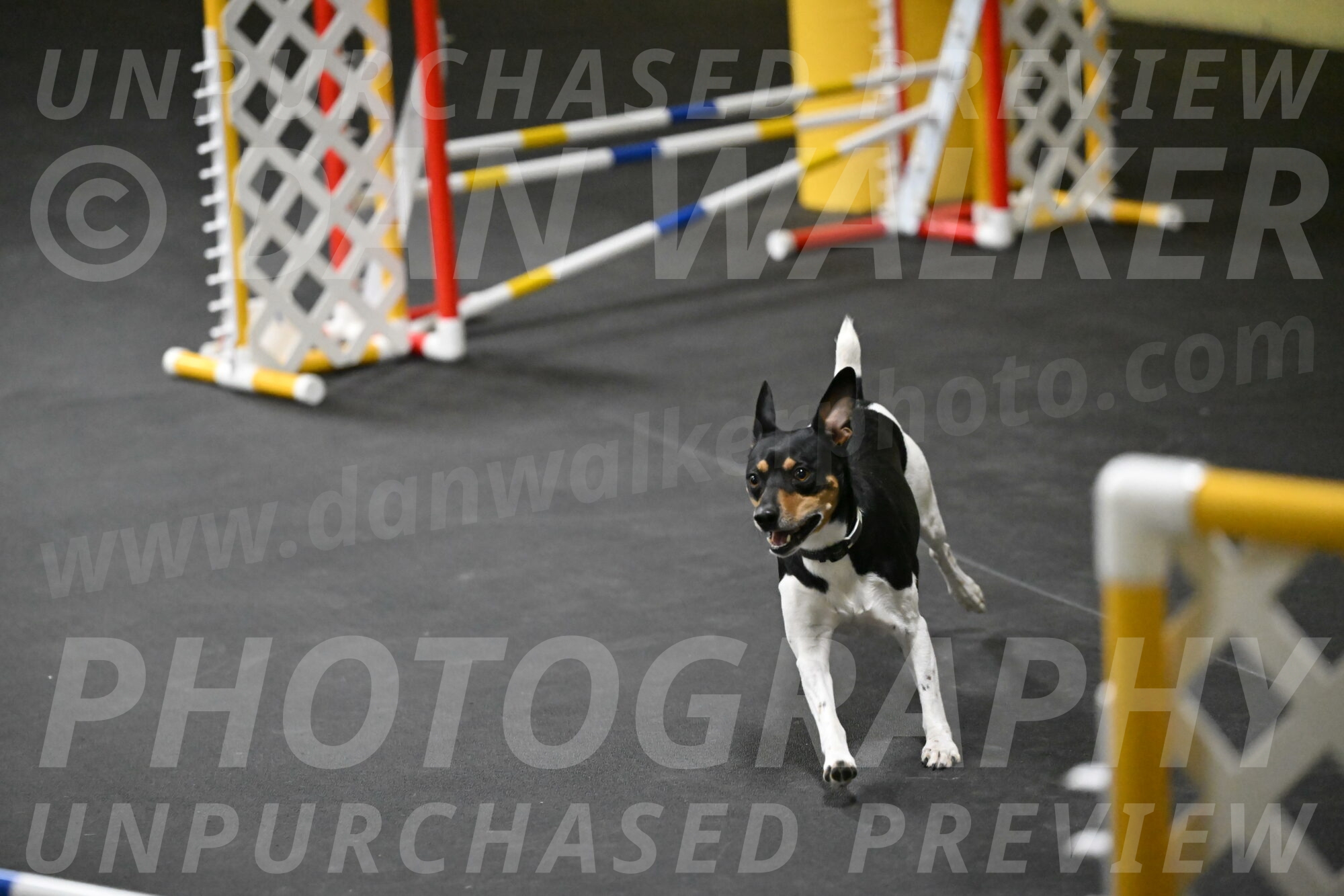 Denver-McGinty-01941