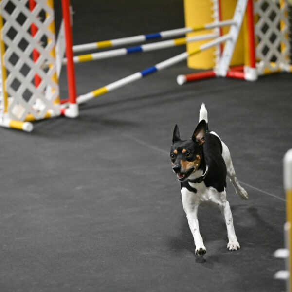 Denver-McGinty-01941