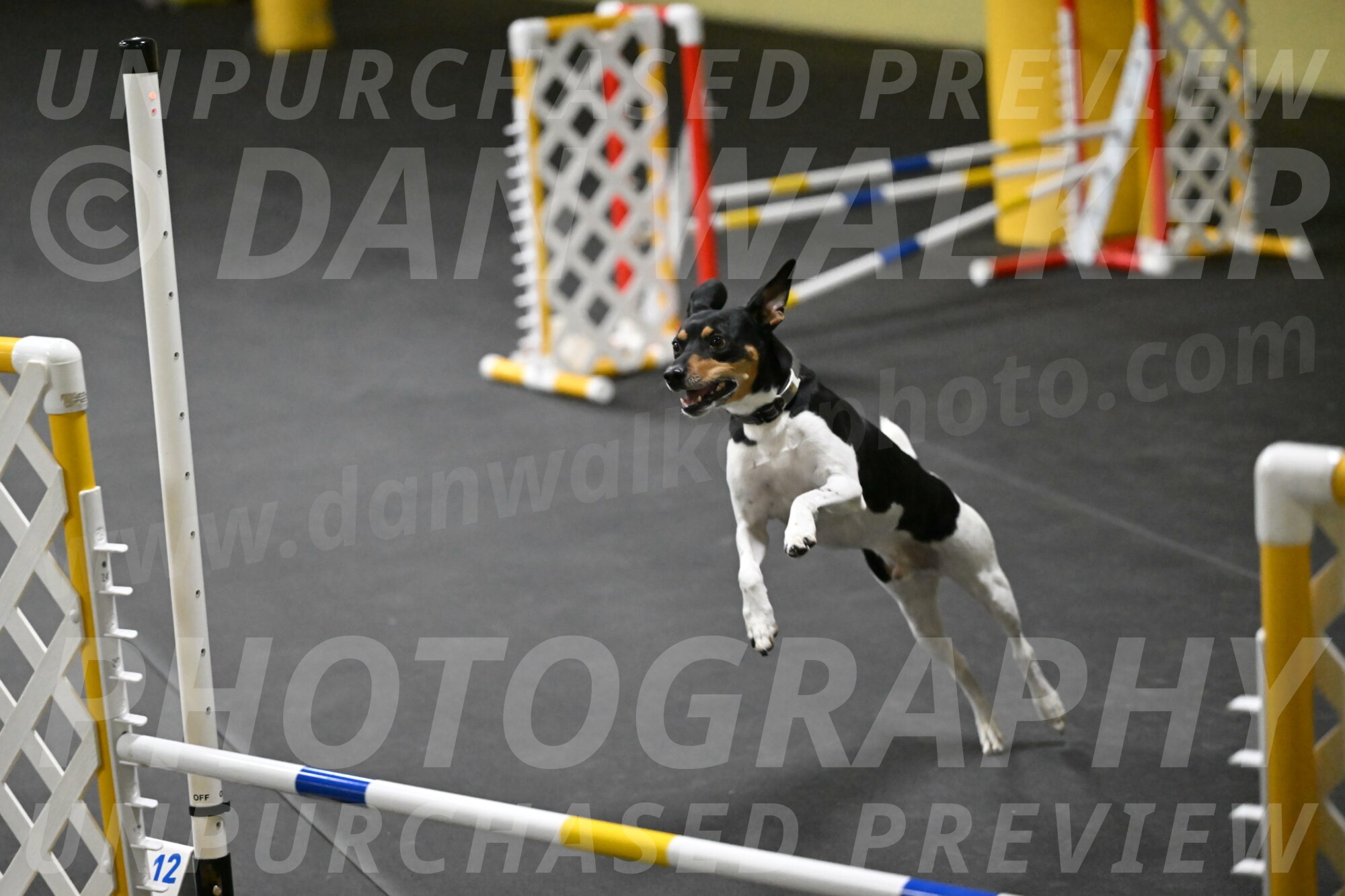 Denver-McGinty-01944