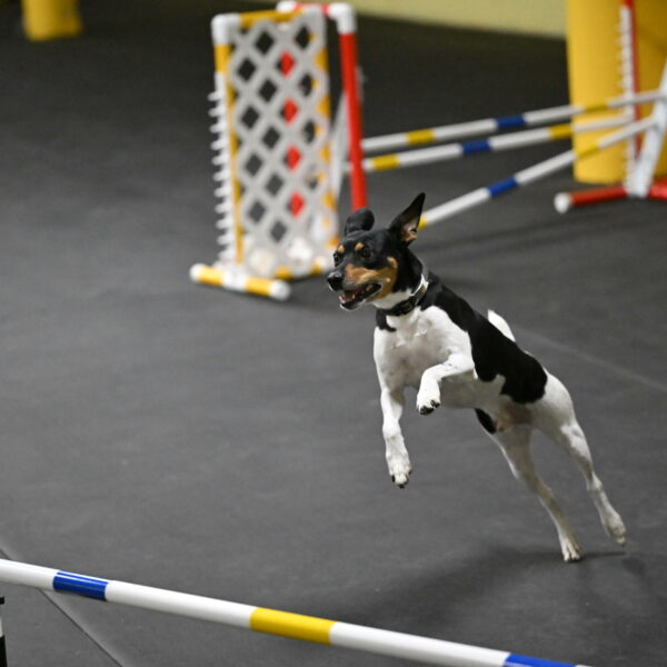 Denver-McGinty-01944