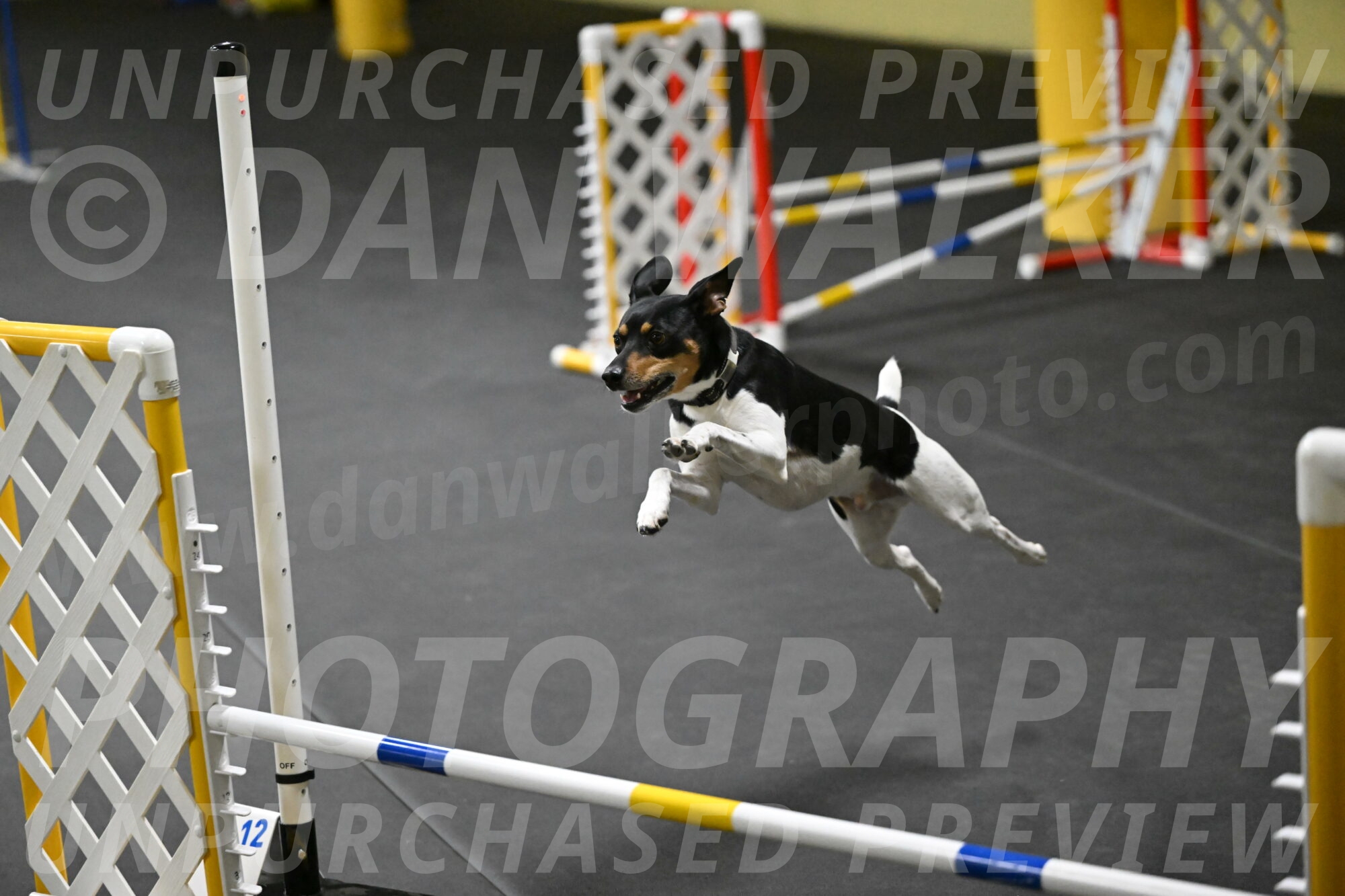 Denver-McGinty-01945