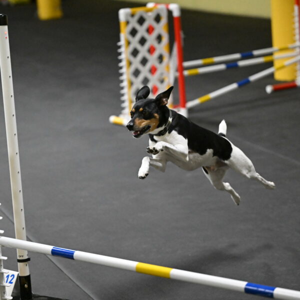 Denver-McGinty-01945