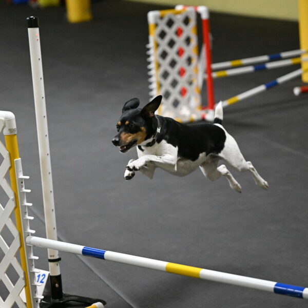 Denver-McGinty-01946