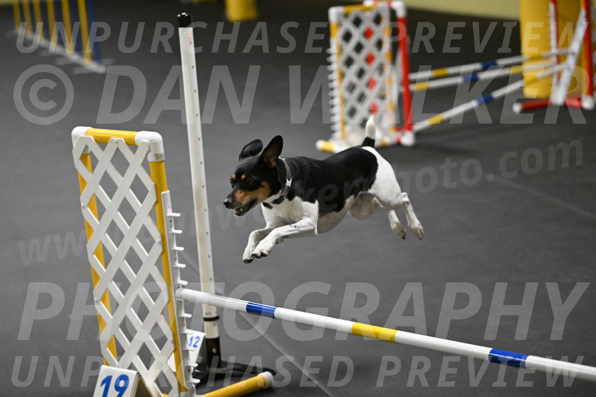 Denver-McGinty-01947