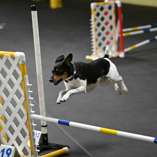 Denver-McGinty-01947