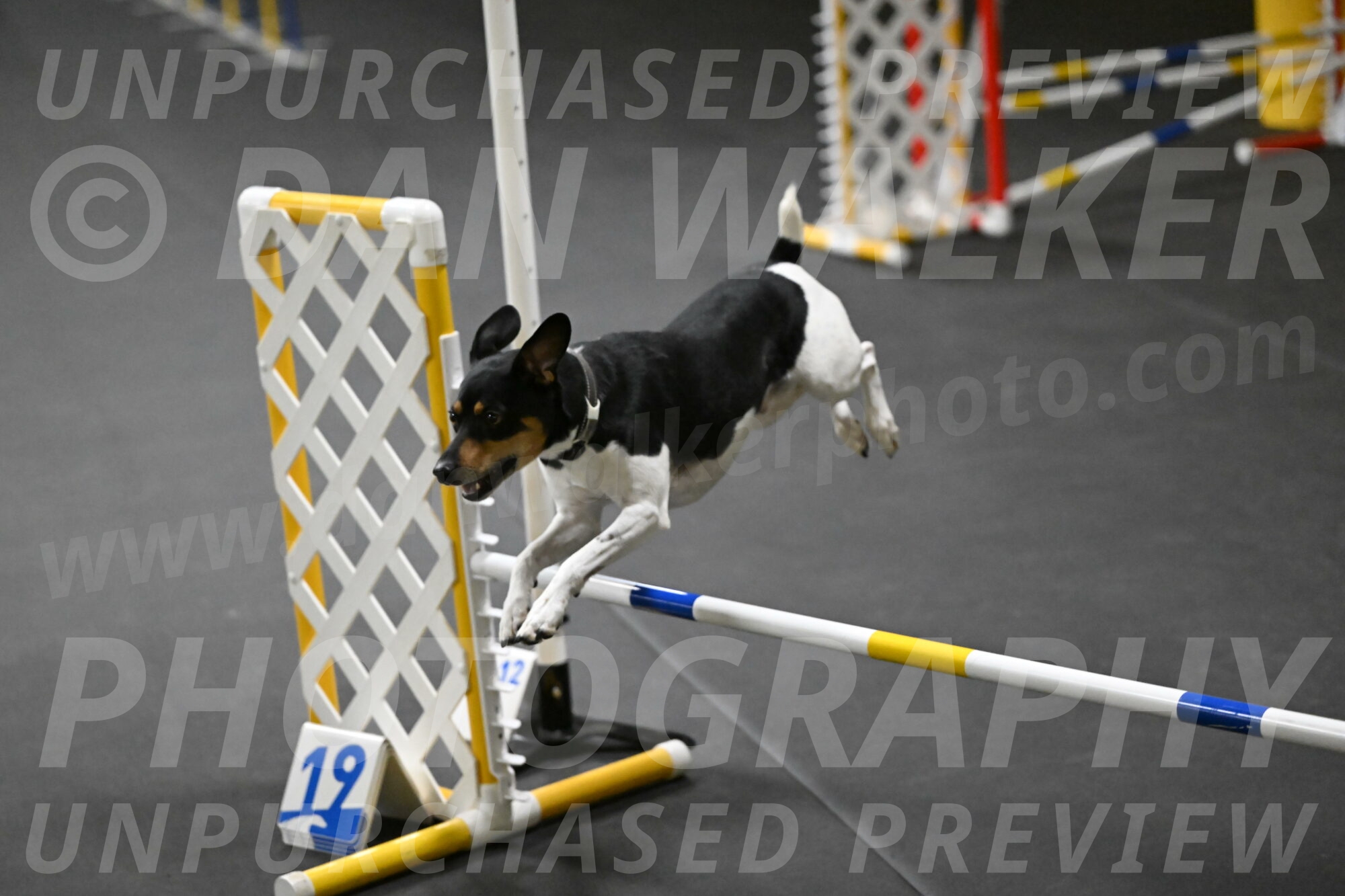 Denver-McGinty-01948