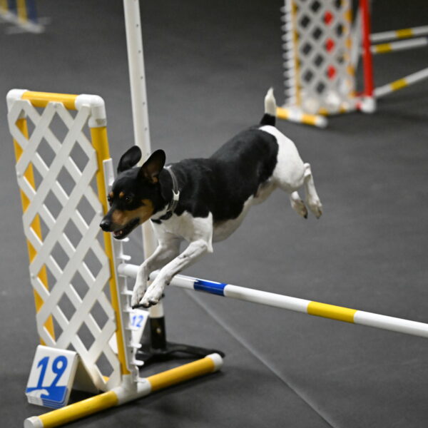 Denver-McGinty-01948