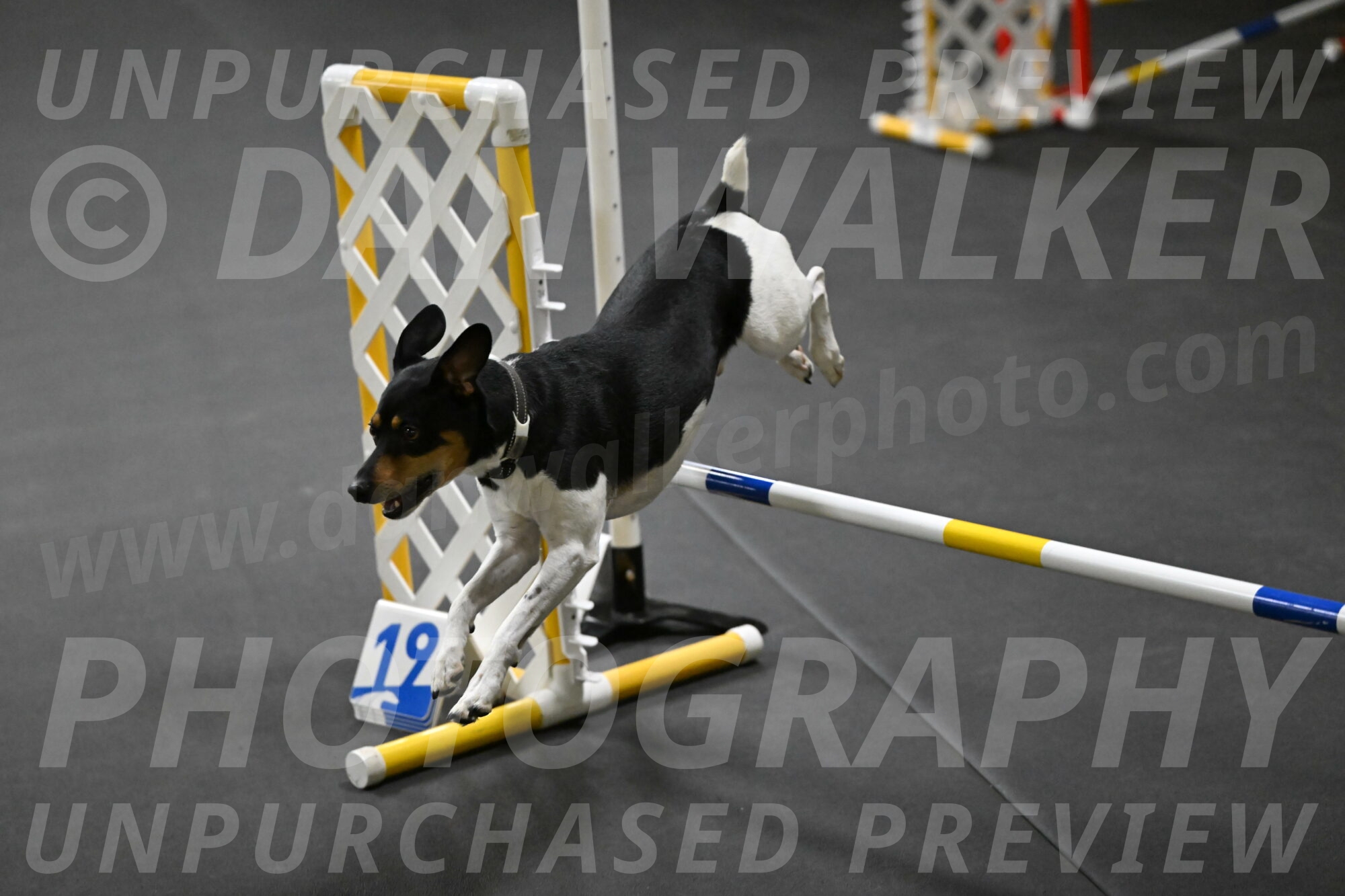 Denver-McGinty-01949