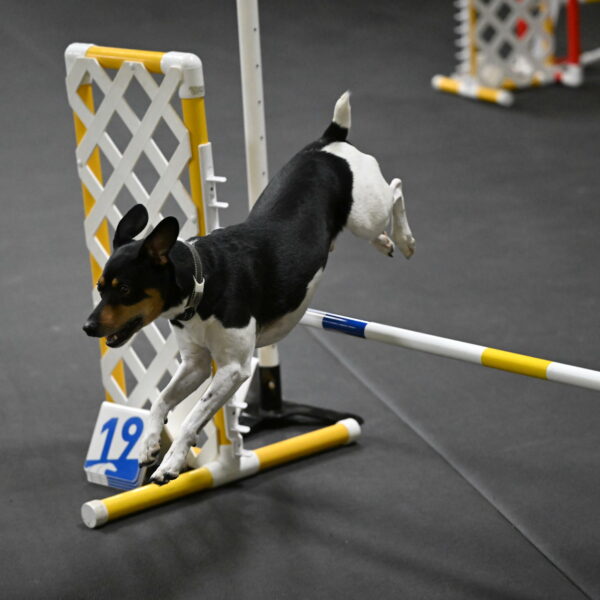 Denver-McGinty-01949