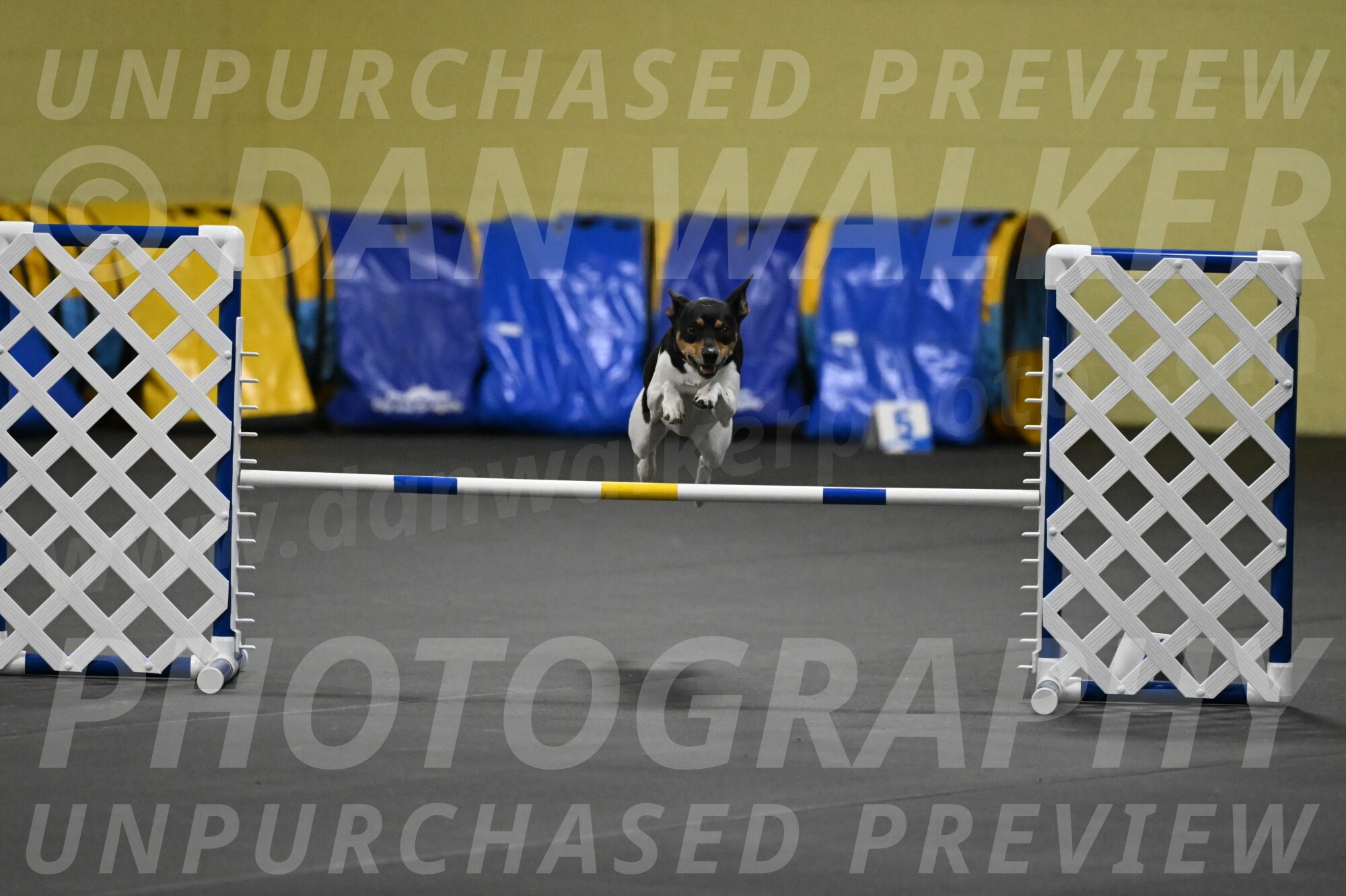 Denver-McGinty-01950