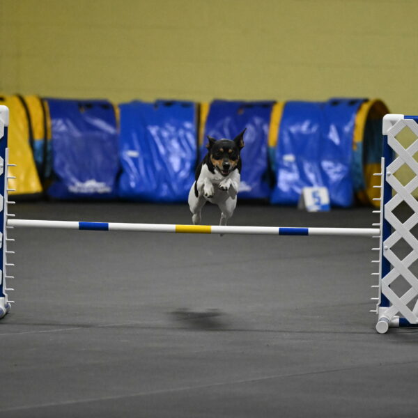 Denver-McGinty-01950