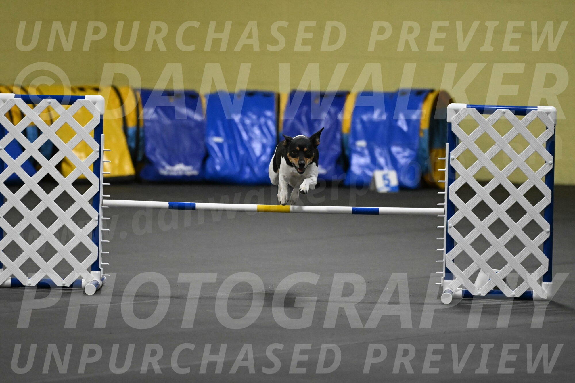 Denver-McGinty-01951