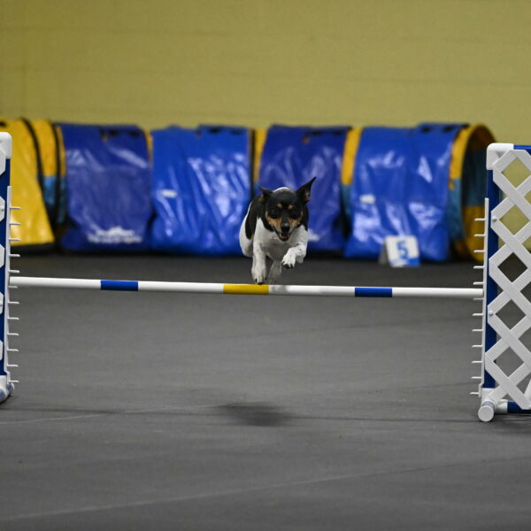 Denver-McGinty-01951