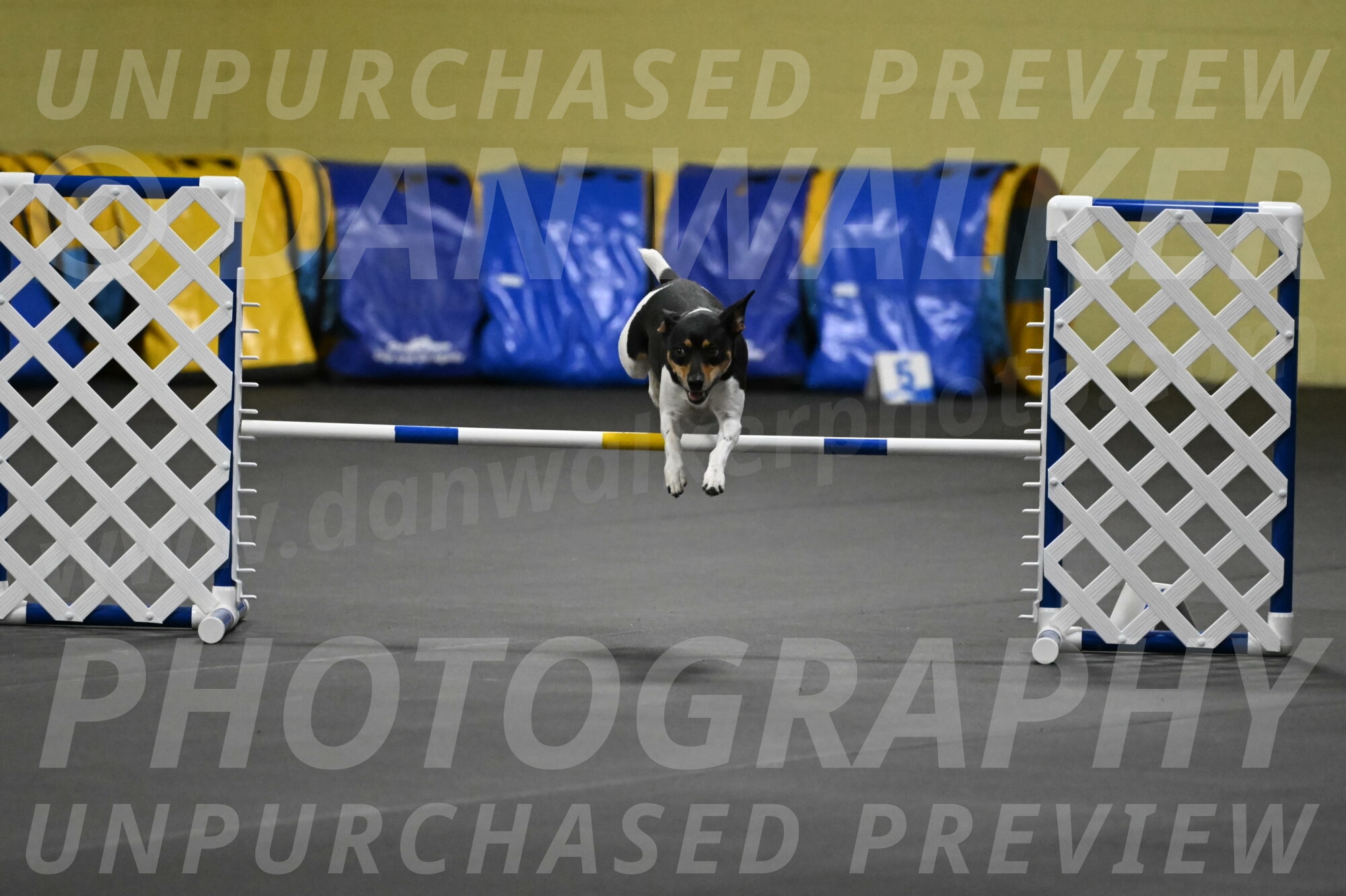 Denver-McGinty-01952