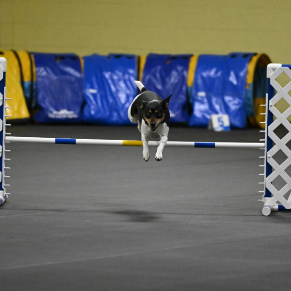 Denver-McGinty-01952