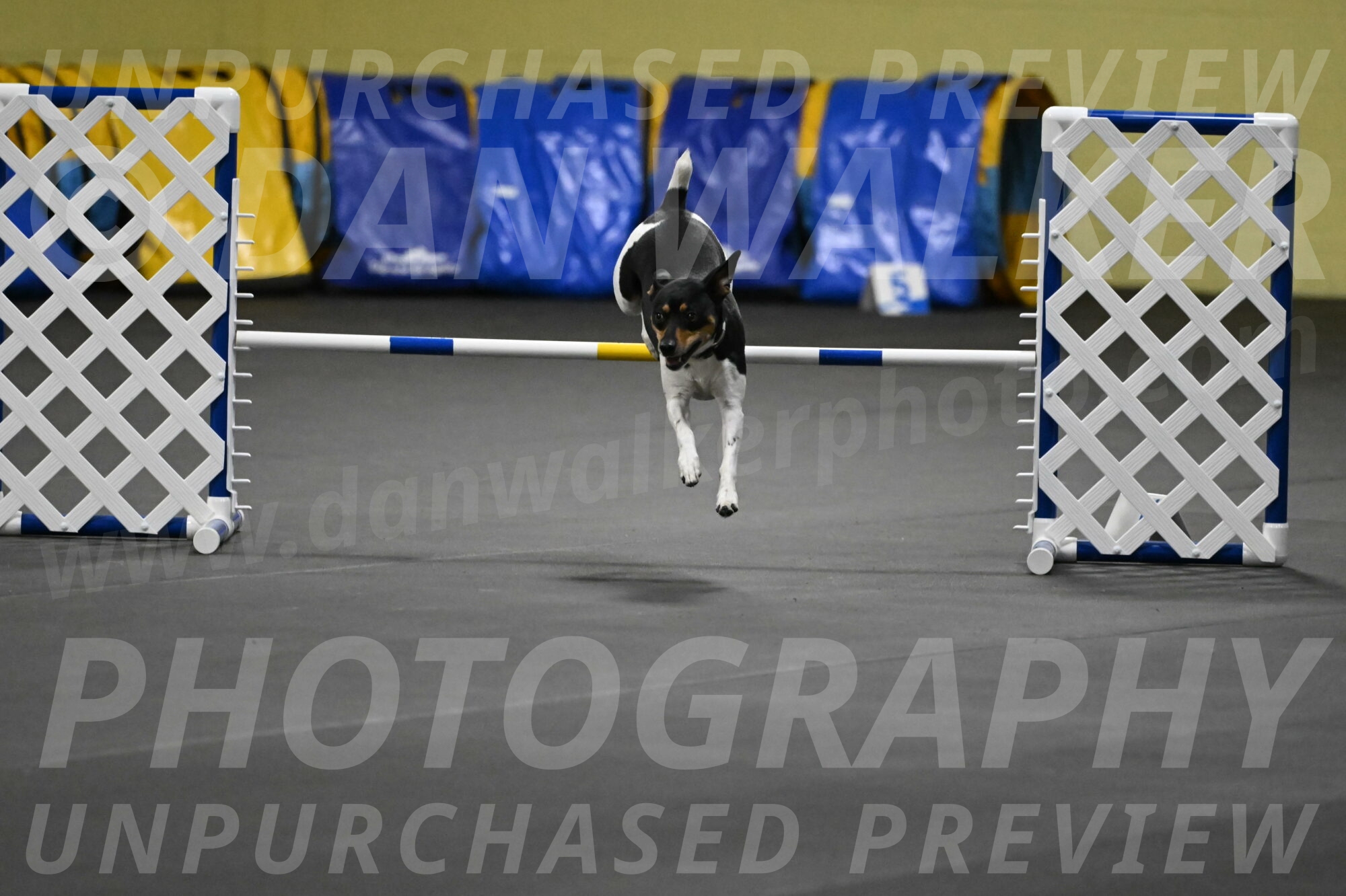 Denver-McGinty-01953