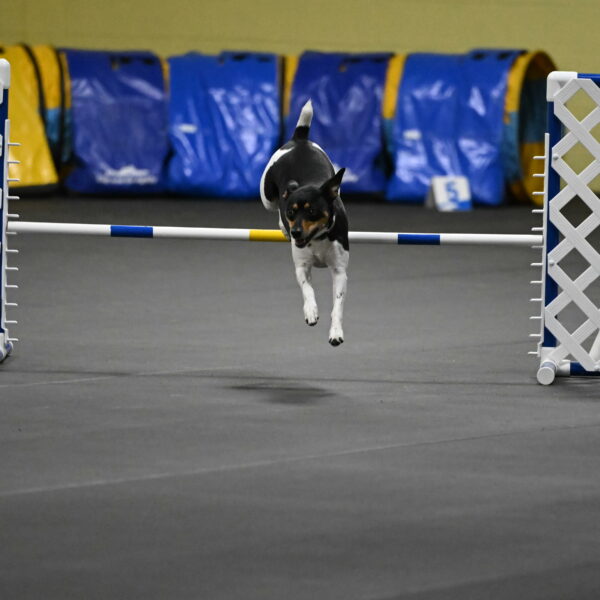 Denver-McGinty-01953