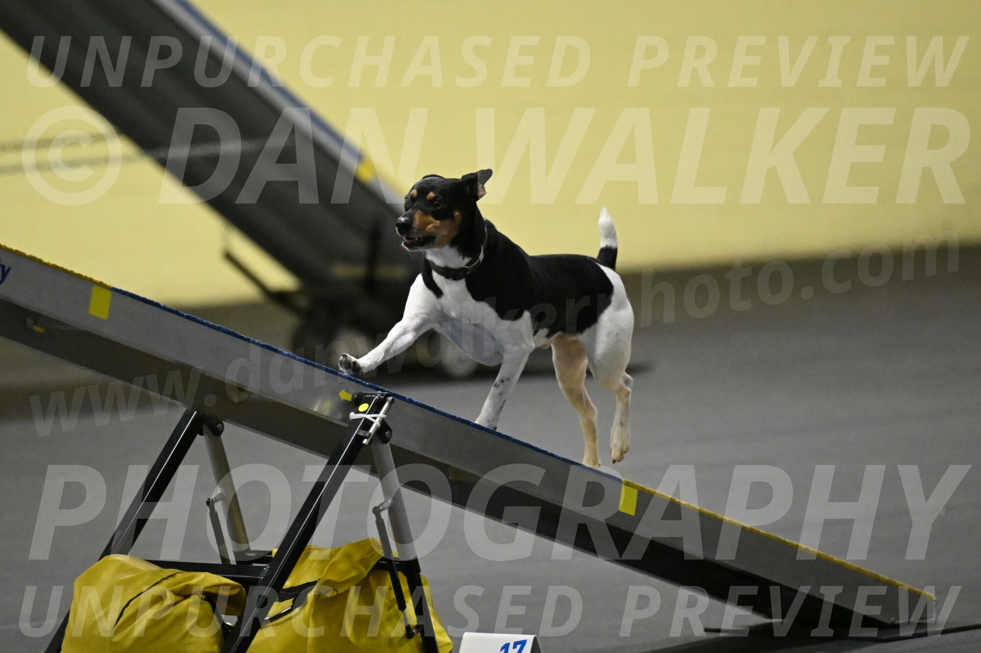 Denver-McGinty-01955