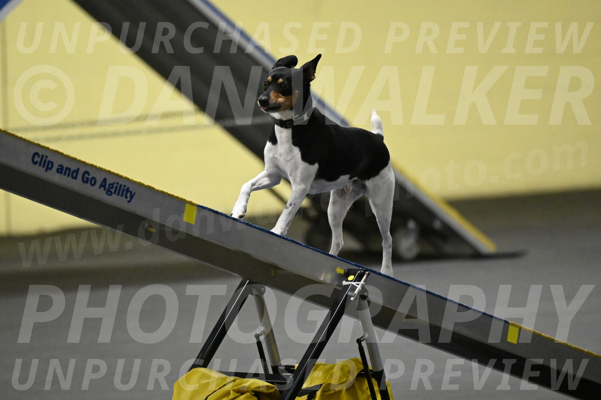 Denver-McGinty-01958