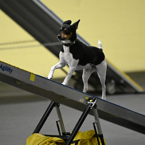 Denver-McGinty-01958