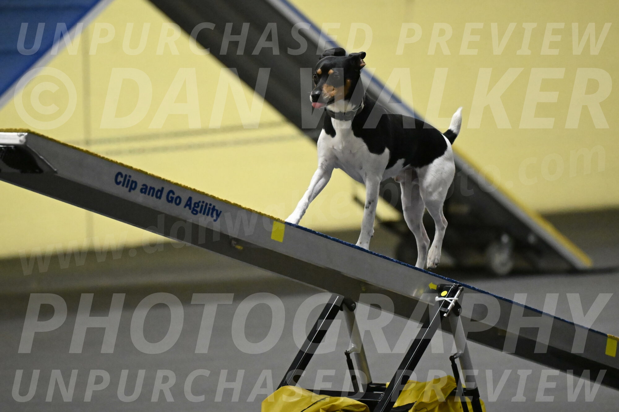 Denver-McGinty-01959