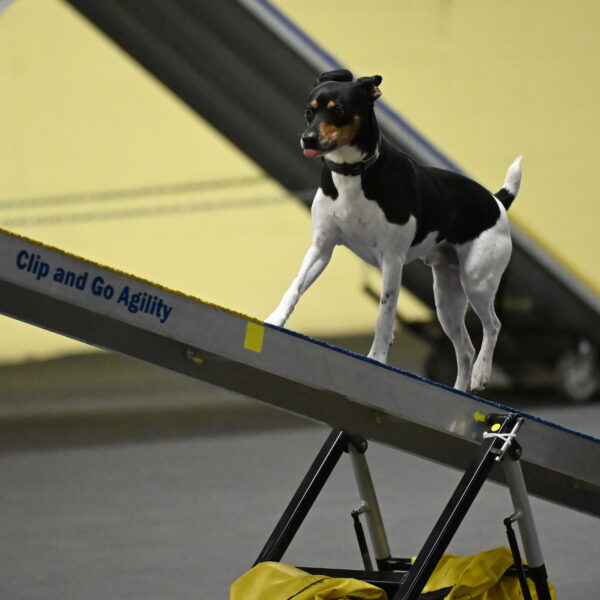 Denver-McGinty-01959